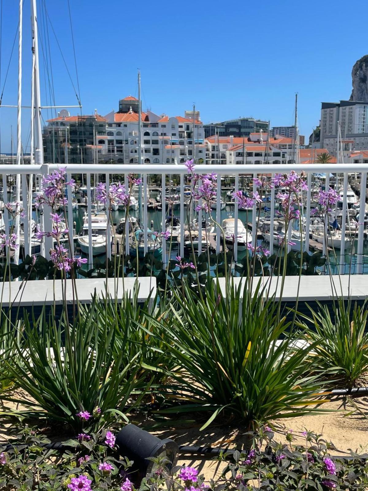 Marina Club Luxury Private Studio With Pool And Incredible Views ジブラルタル エクステリア 写真